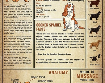 Cocker Spaniel Knowledge Digital