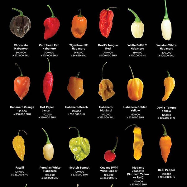 Scovilles Big List of Hot Peppers Etsy