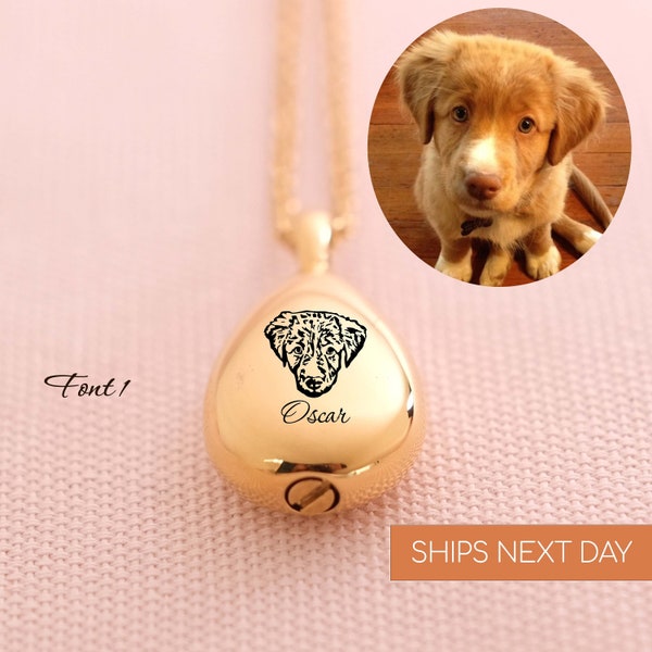 Pet Ashes Necklace Etsy