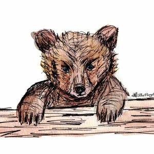 Bear Cub
