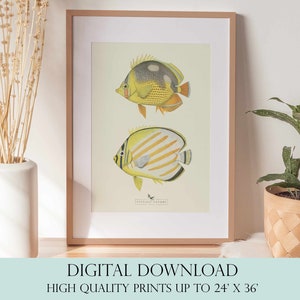 Tropical Fish Art | Ocean Wall Art | Vintage Decor | PRINTABLE Wall Art | Instant Download | 3001