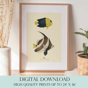 Arte de peixes tropicais | Arte da parede do oceano | Decoração vintage | Arte de parede IMPRIMÍVEL | Download instantâneo | 3002