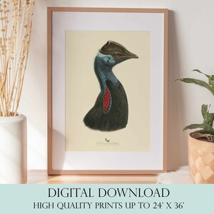 Bird Art Print | Vintage Decor | PRINTABLE Wall Art | Instant Download | 1003