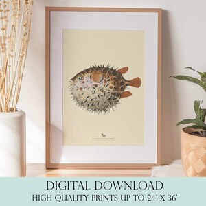 Arte de peixes tropicais | Arte da parede do oceano | Decoração vintage | Arte de parede IMPRIMÍVEL | Download instantâneo | 3003