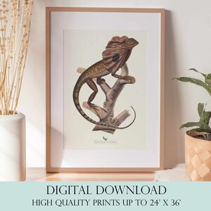 Lizard Painting | Lizard Wall Art | Vintage Decor | PRINTABLE Wall Art | Instant Download | 7033