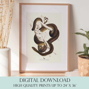 Snake Print | Snake Wall Art | Vintage Decor | PRINTABLE Wall Art | Instant Download | 7015