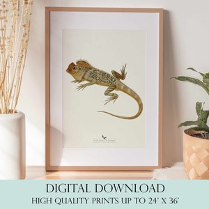 Lizard Painting | Lizard Wall Art | Vintage Decor | PRINTABLE Wall Art | Instant Download | 7004