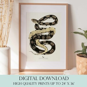 Snake Print | Snake Wall Art | Vintage Decor | PRINTABLE Wall Art | Instant Download | 7018