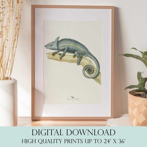 Lizard Painting | Lizard Wall Art | Vintage Decor | PRINTABLE Wall Art | Instant Download | 7032