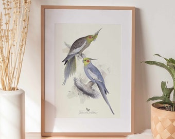 Bird Art Print | Vintage Decor | PRINTABLE Wall Art | Instant Download | 1015