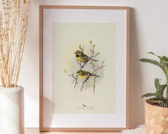 Bird Art Print | Vintage Decor | PRINTABLE Wall Art | Instant Download | 1005