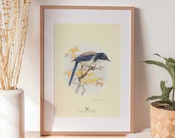Bird Art Print | Vintage Decor | PRINTABLE Wall Art | Instant Download | 1006