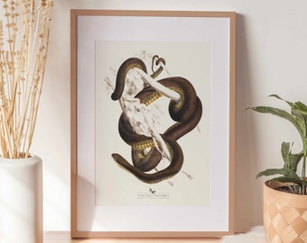 Snake Print | Snake Wall Art | Vintage Decor | PRINTABLE Wall Art | Instant Download | 7015