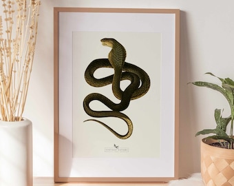 Op de afbeelding: Een ingelijste print van een vintage illustratie van een groene slang met zijn kop omhoog in een cobrahouding. De print is op een witte achtergrond en heeft de tekst "Vintage Nature" onderaan.