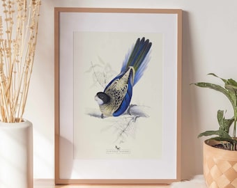 Bird Art Print | Vintage Decor | PRINTABLE Wall Art | Instant Download | 1022