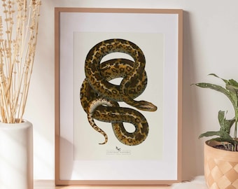 Snake Print | Snake Wall Art | Vintage Decor | PRINTABLE Wall Art | Instant Download | 7011