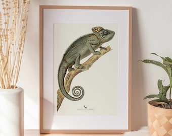 Lizard Painting | Lizard Wall Art | Vintage Decor | PRINTABLE Wall Art | Instant Download | 7009