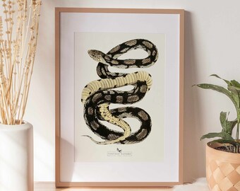Snake Print | Snake Wall Art | Vintage Decor | PRINTABLE Wall Art | Instant Download | 7018