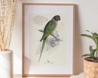 Bird Art Print | Vintage Decor | PRINTABLE Wall Art | Instant Download | 1025