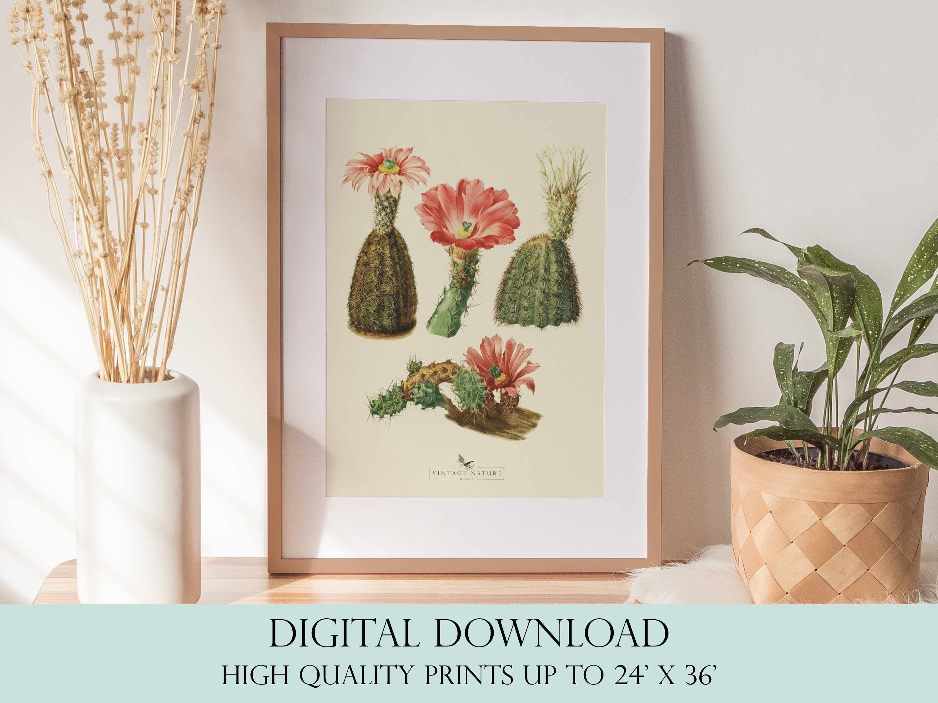 Succulent Art Print | Vintage Decor | PRINTABLE Wall Art | Instant ...