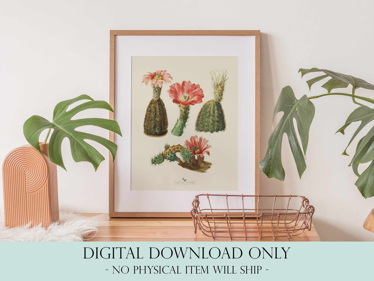 Succulent Art Print Vintage Decor PRINTABLE Wall Art - Etsy