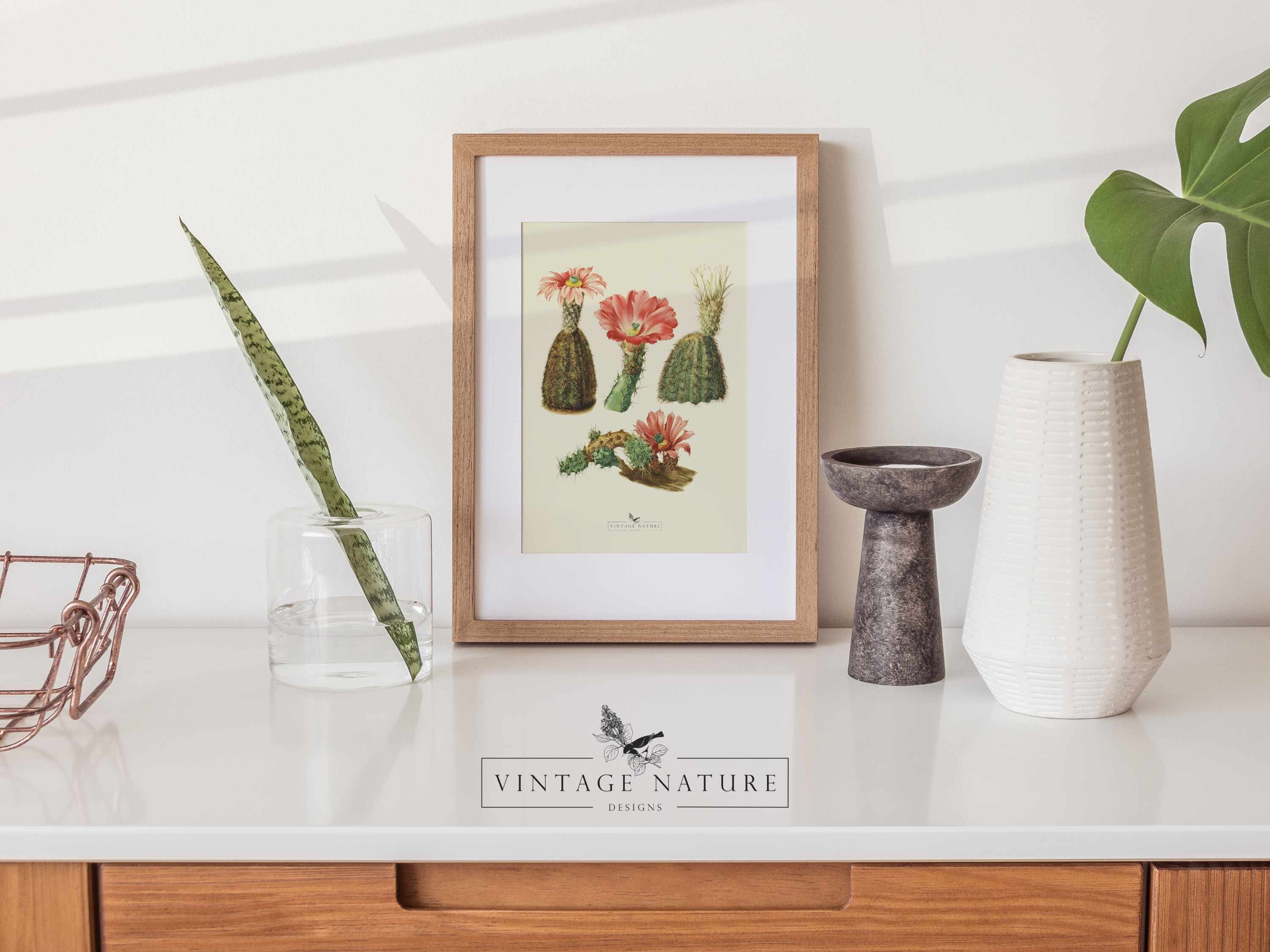 Succulent Art Print | Vintage Decor | PRINTABLE Wall Art | Instant ...