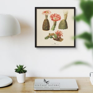Succulent Art Print Vintage Decor PRINTABLE Wall Art - Etsy