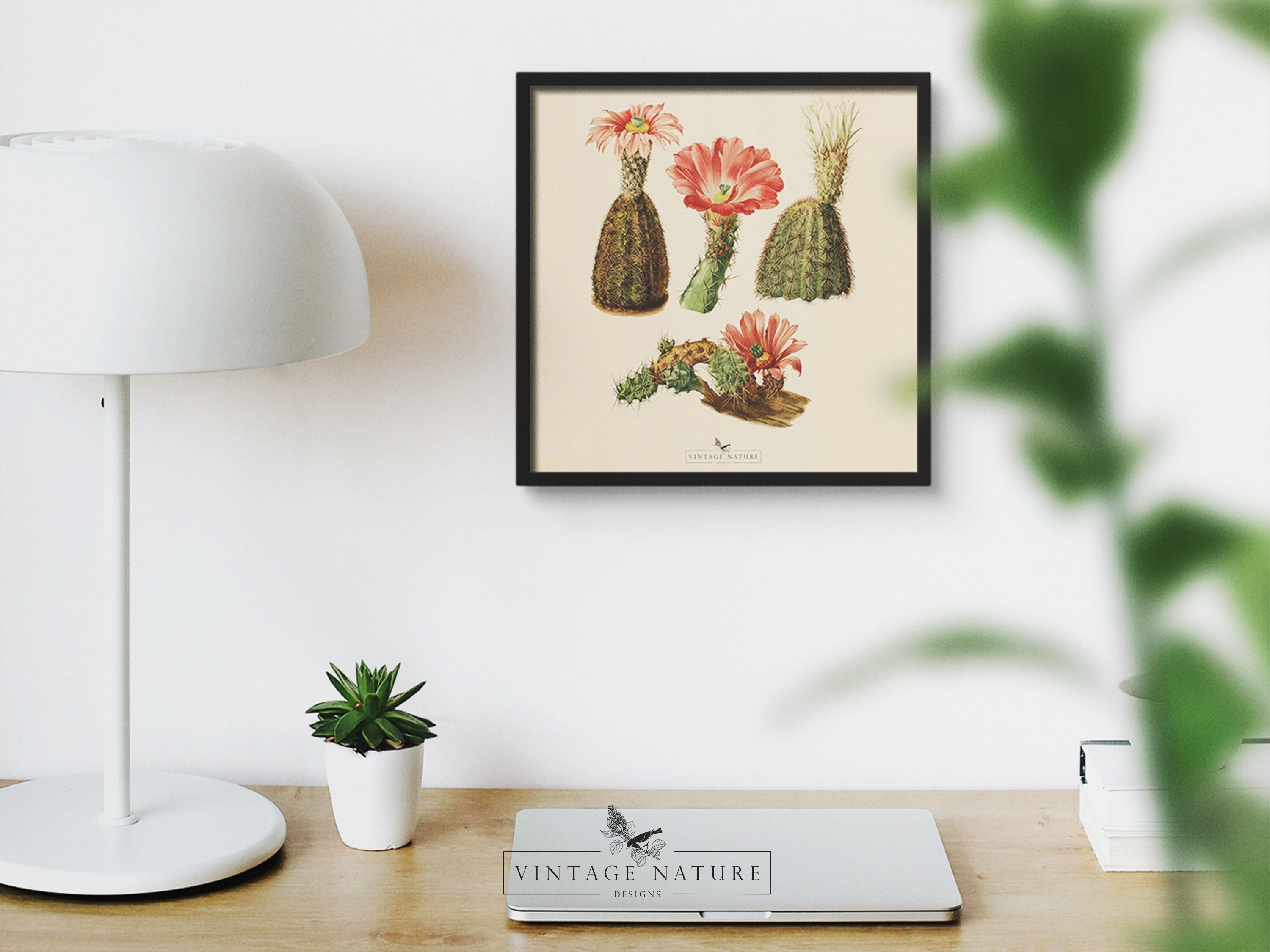 Succulent Art Print | Vintage Decor | PRINTABLE Wall Art | Instant ...