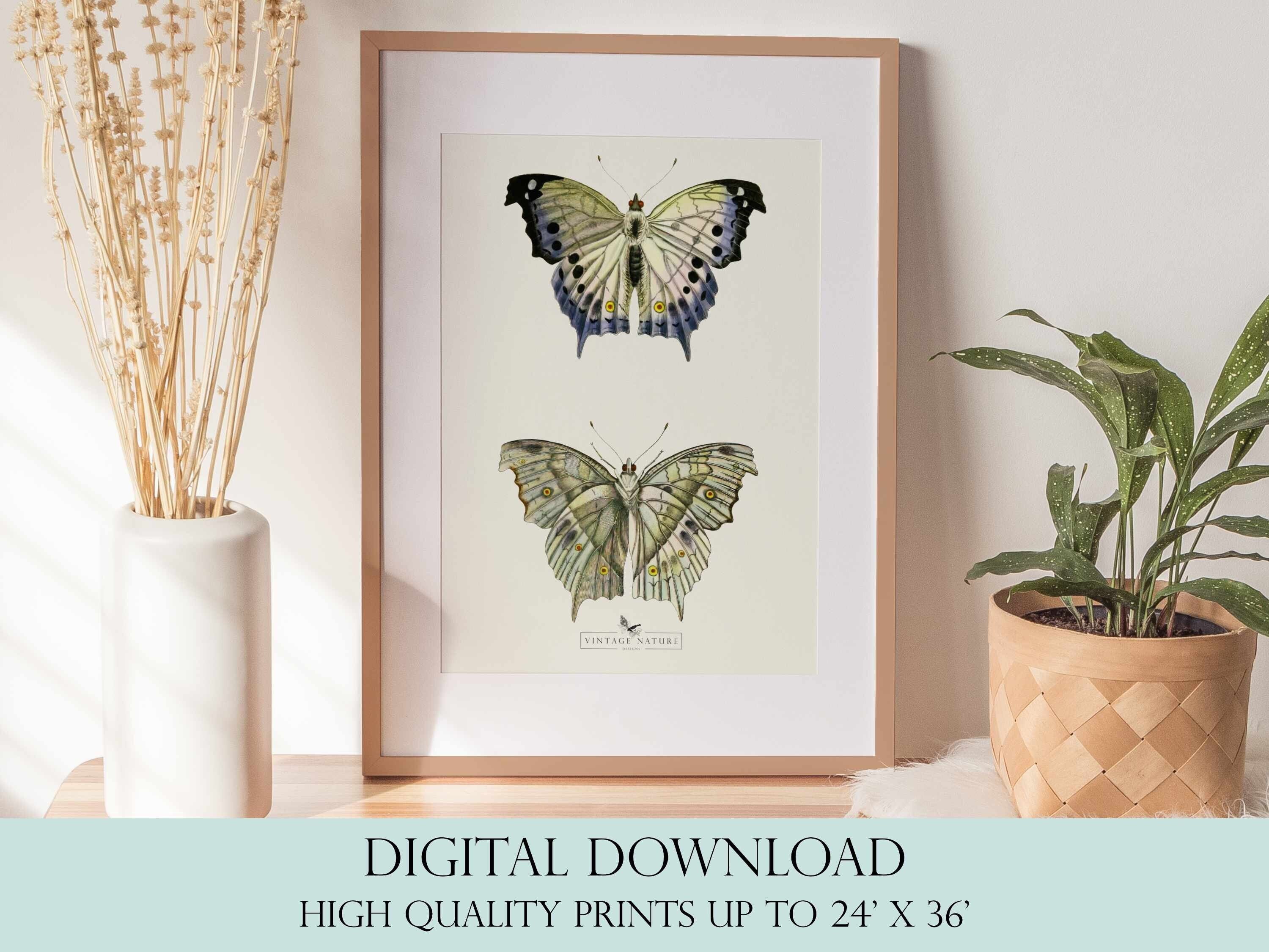 Butterfly Print | Vintage Decor | PRINTABLE Wall Art | Instant Download ...