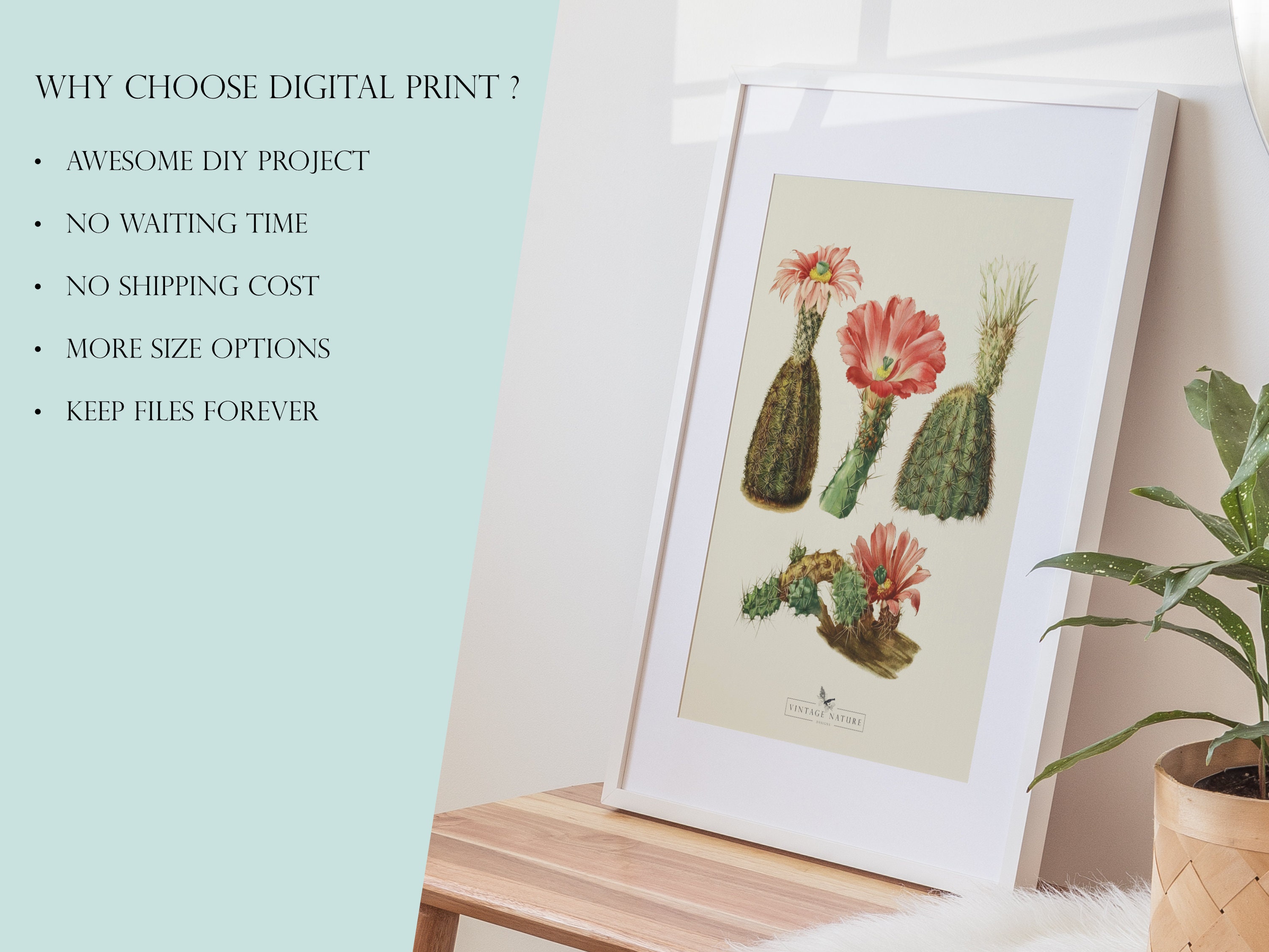 Succulent Art Print | Vintage Decor | PRINTABLE Wall Art | Instant ...
