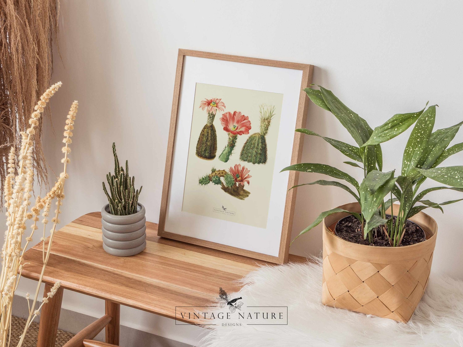 Succulent Art Print Vintage Decor PRINTABLE Wall Art - Etsy