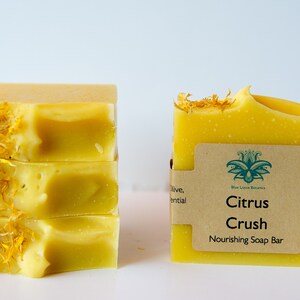 Citrus Crush Soap Bar
