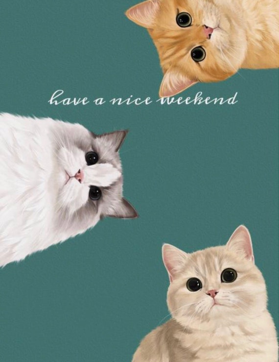 Weekend Mode Animals Have A Nice Weekend Animals