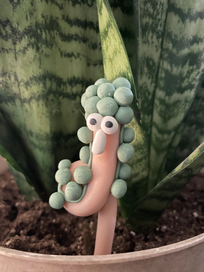 Moisture Detector String of Pearls Squirmy Wormy Etsy