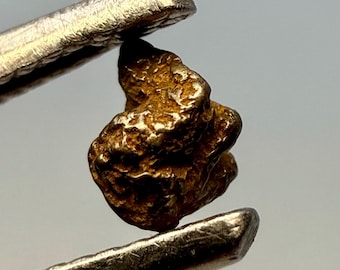 Natural Platinum with Gold crystal / Konder massif, Russia / Native Metal Specimen