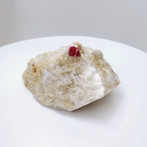 May include: A small, red ruby crystal embedded in a white, rough rock. The ruby is a deep red color and has a sharp, angular shape.
