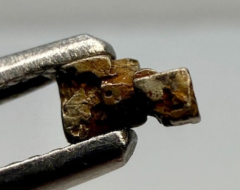 Natural Platinum with Gold crystal / Konder massif, Russia / Native Metal Specimen