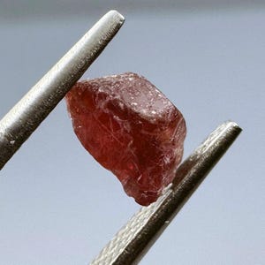 May include: A rough, red gemstone with a translucent appearance. The gemstone is held in tweezers.