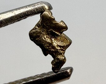 Natural Platinum with Gold crystal / Konder massif, Russia / Native Metal Specimen