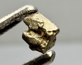 Natural Platinum with Gold crystal / Konder massif, Russia / Native Metal Specimen