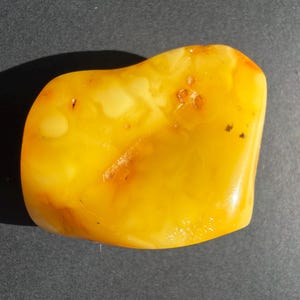 May include: A piece of polished amber, with an irregular shape. The amber is a translucent, golden-yellow colour with lighter, creamy-white inclusions and small dark specks. The surface is smooth and reflective, catching the light.