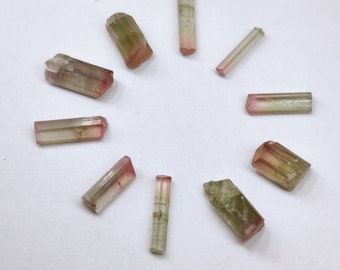 Watermelon tourmaline (pink-green) from Afghanistan (price per piece)