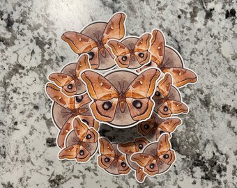 Moth Sticker