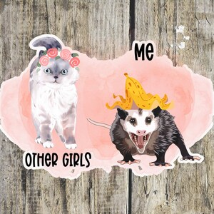 funny possum sticker, opossum sticker, possum sticker, meme laptop sticker, funny animal sticker, water bottle sticker