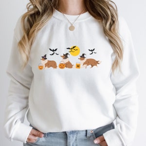 Halloween Sheltie Sweatshirt, Sable Sheltie Shirt, Sheltie Sweatshirt, Sheltie Mom, Shelties, Sheltie Gifts,Sheltland Sheepdog, Sheltie Dogs