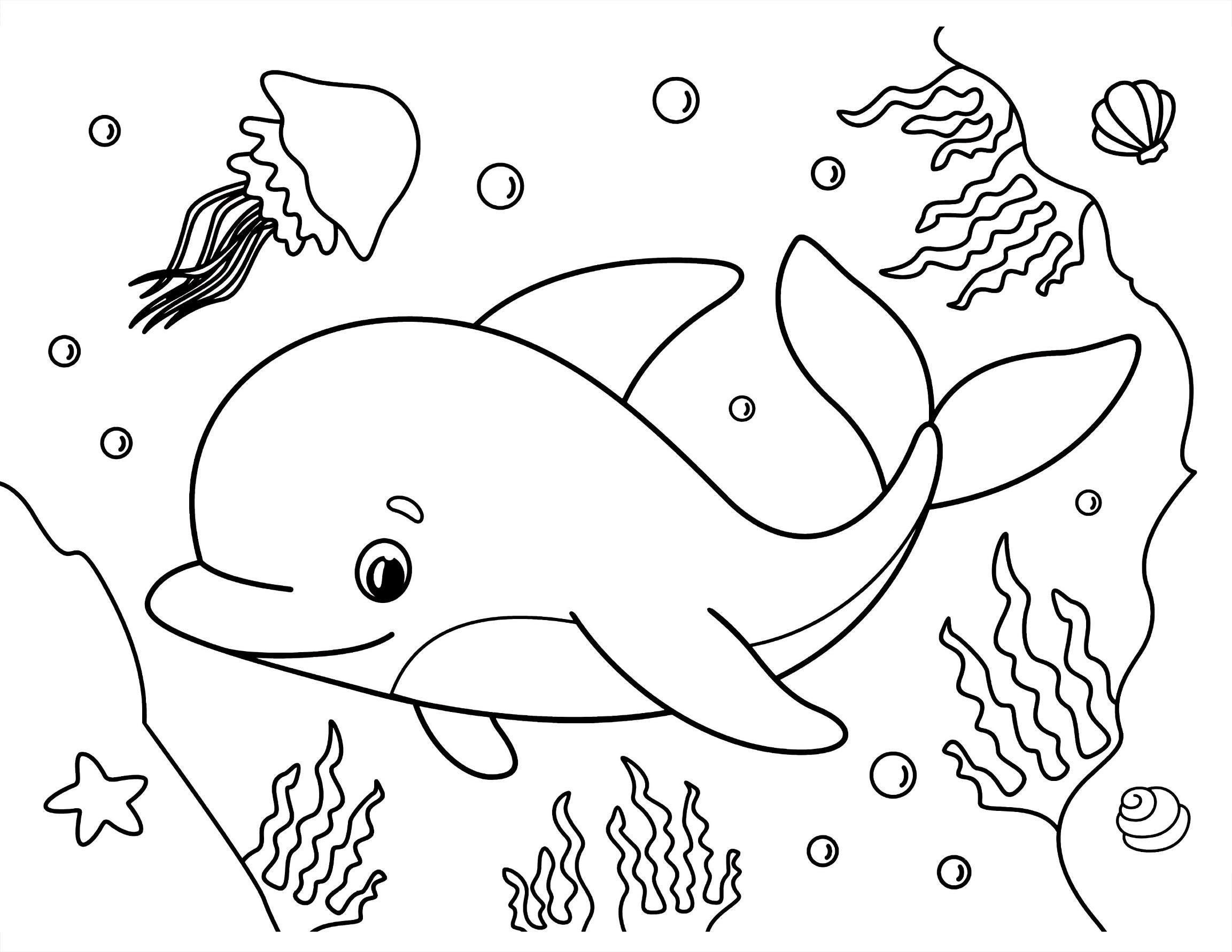 Barnes and Noble Dolphin Big Coloring Book For Kids Ages 3 - 8: Drawing,  Activity Book For Boys & Girls - Cute Dolphin Coloring Pages - Perfect Gift  for Kids ( 8.5