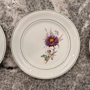 Rare Beautiful botanical flower white porcelain plate set by JWK Bavaria