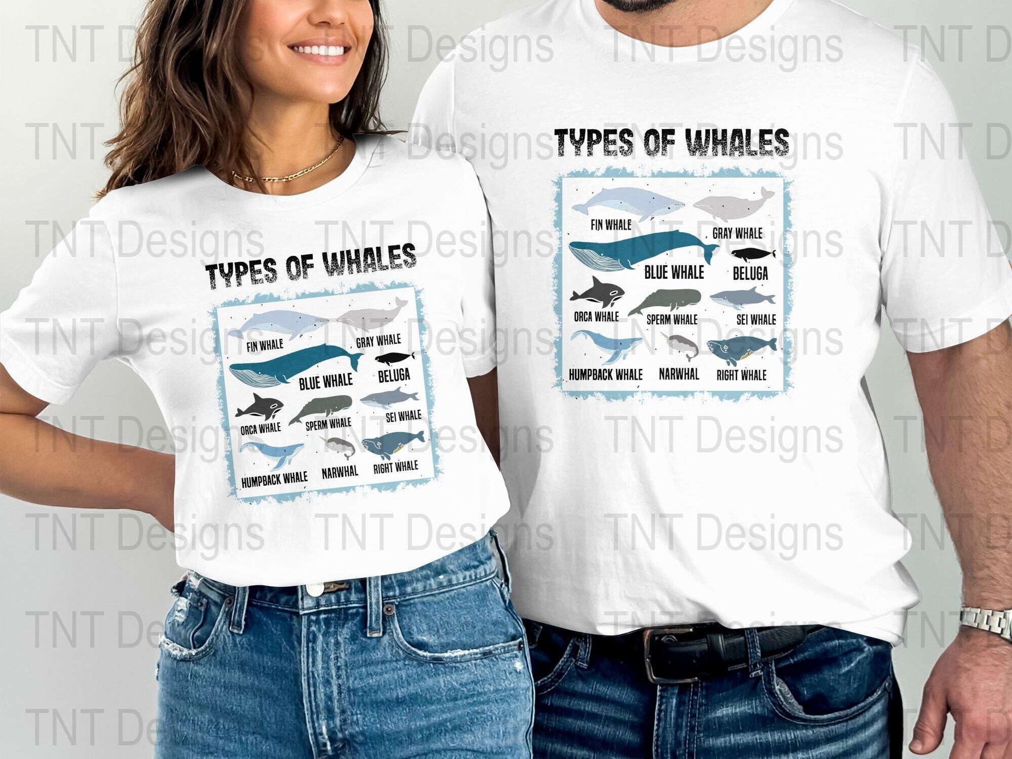 Types of Whales Digital Png File, Instant Download, Ocean Mammals Guide ...