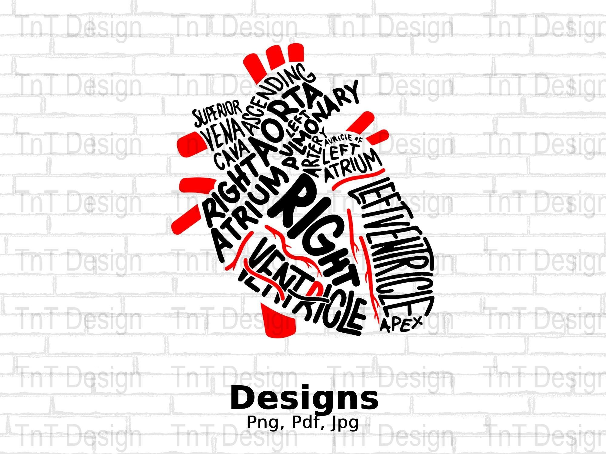 Coeur anatomique médical RN fichier Png numérique, téléchargement immédiat, conception de T-shirt d'infirmière autorisée, infirmière Png, infirmière vie Png, infirmière chemise Png