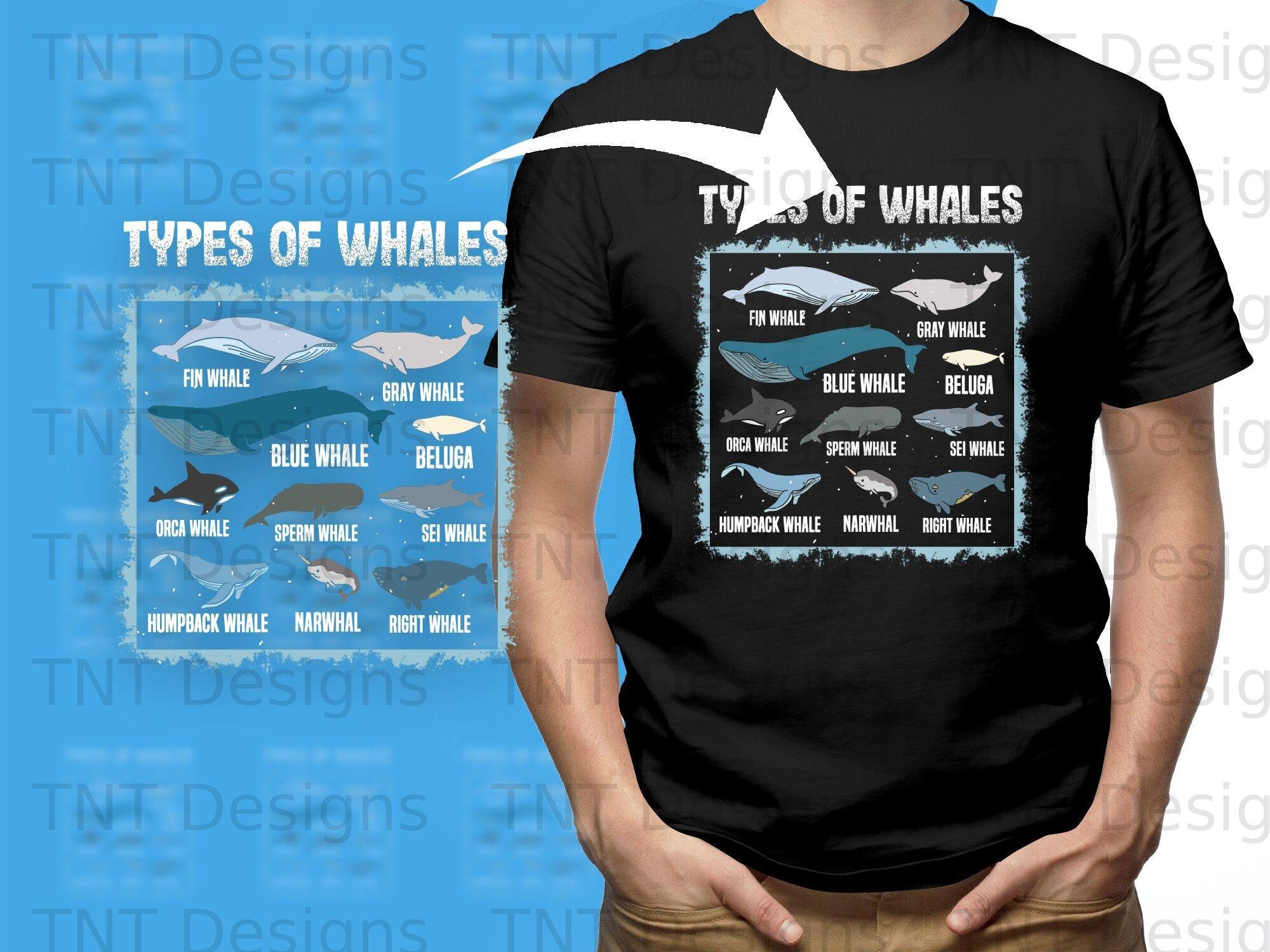 Types of Whales Digital Png File, Instant Download, Ocean Mammals Guide ...